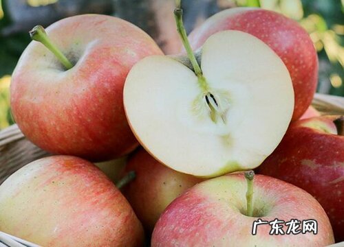 苹果是哪里的特产