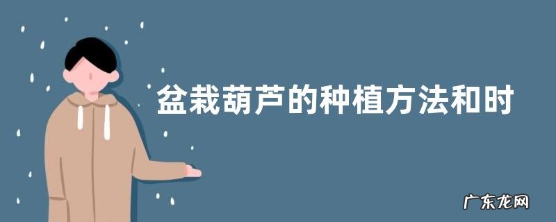 要点 盆栽葫芦的种植方法和时间 盆栽葫芦种植技术