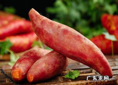红薯是哪里的特产