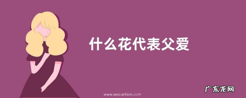 什么花代表父爱
