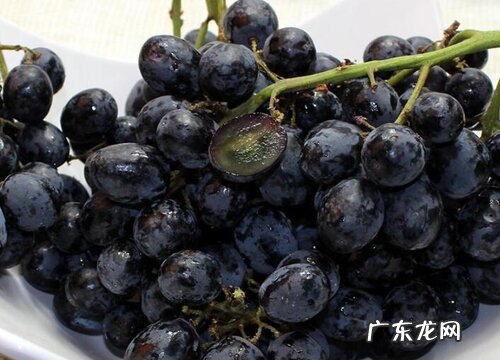 葡萄是什么作物 属于温带和亚热带的作物