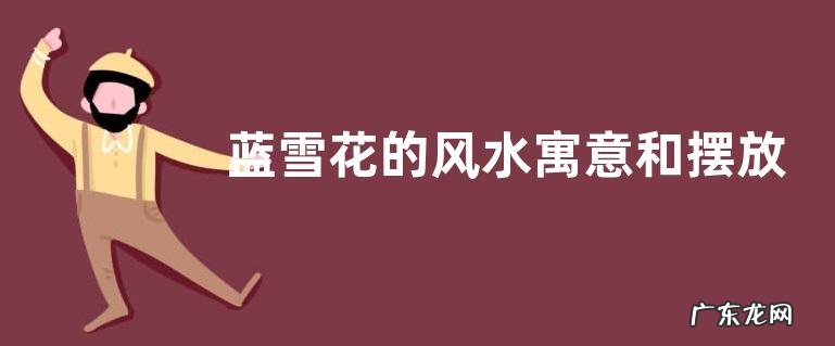 蓝雪花的风水寓意和摆放位置