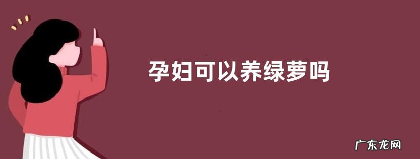 孕妇可以养绿萝吗