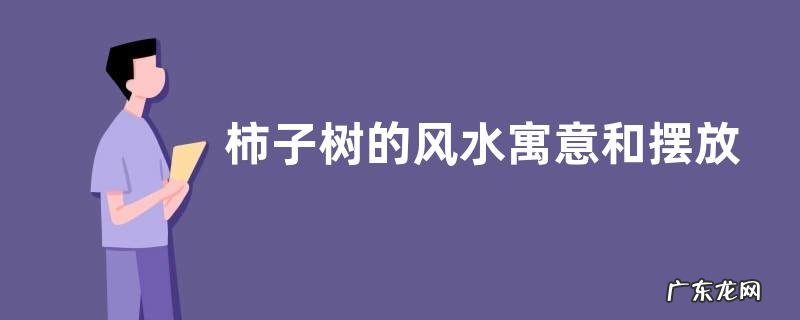 柿子树的风水寓意和摆放位置