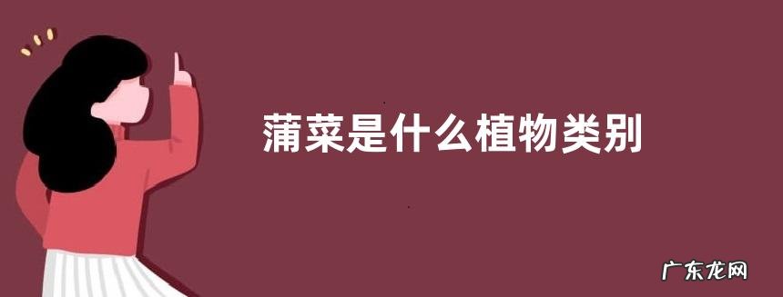 蒲菜是什么植物类别