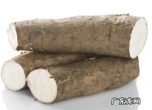 木薯是什么植物类别