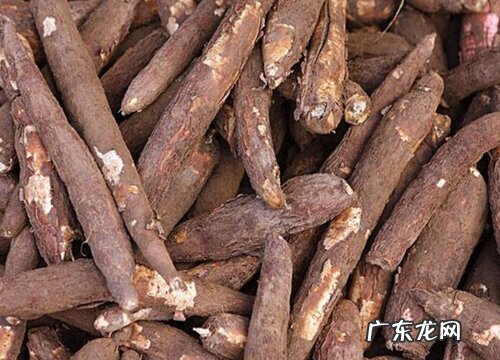 木薯是什么植物类别