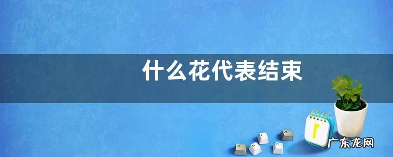 什么花代表结束