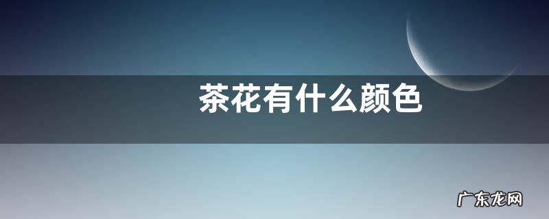 茶花有什么颜色