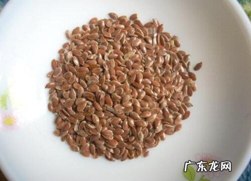 麻籽是什么植物类别