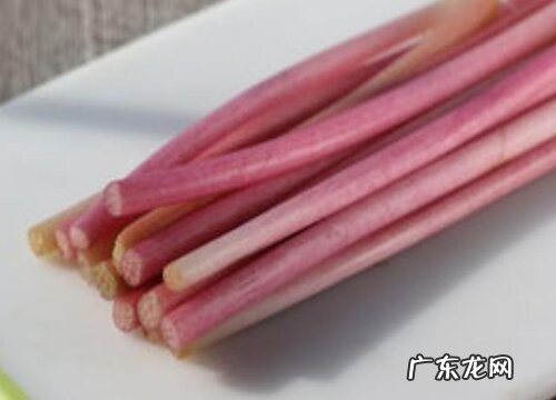 鸡头苞梗是什么植物类别