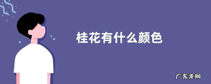 桂花有什么颜色