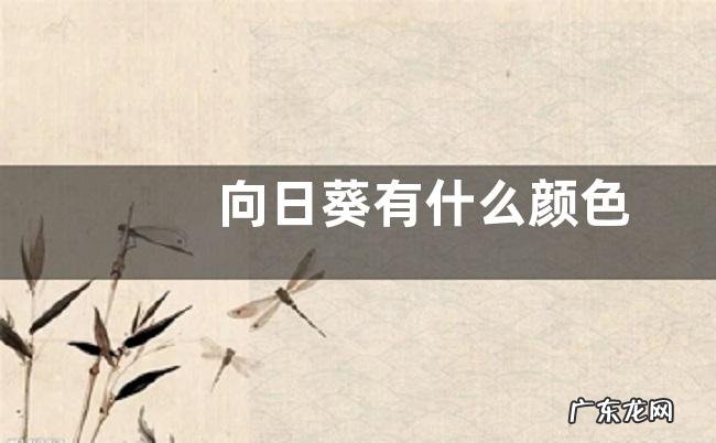 向日葵有什么颜色