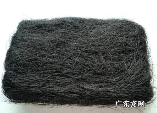 发菜哪里产的最好