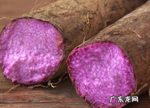 紫山药哪里产的最好
