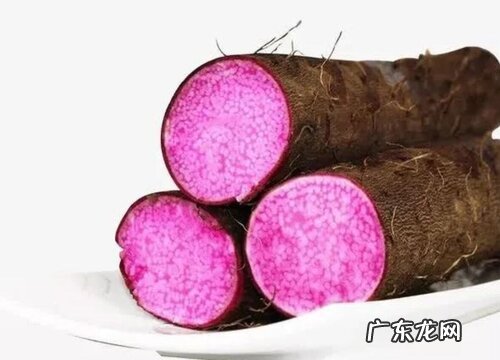 紫山药哪里产的最好
