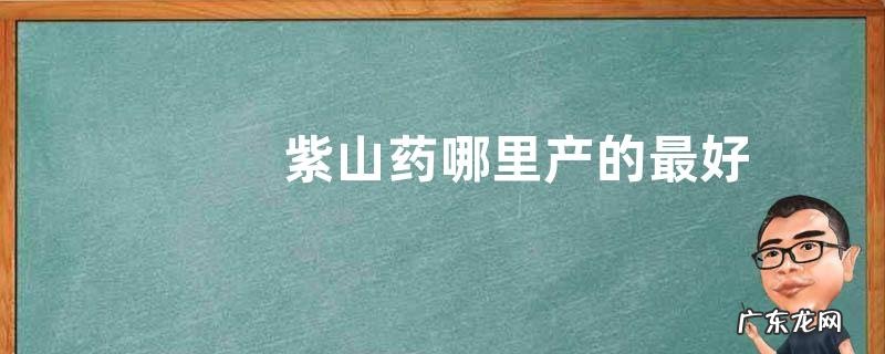 紫山药哪里产的最好