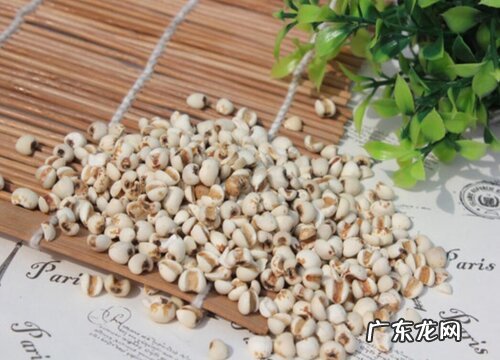 薏米哪里产的最好