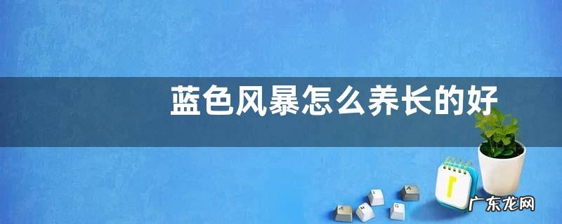 蓝色风暴怎么养长的好
