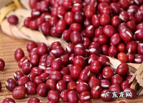 红小豆哪里产的最好