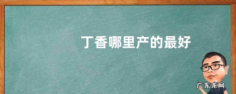 丁香哪里产的最好