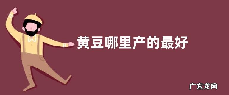 黄豆哪里产的最好
