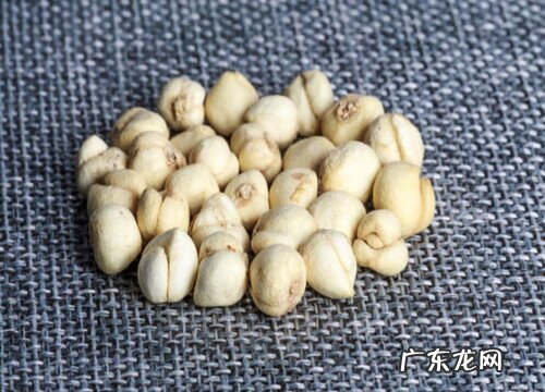 川贝母哪里产的最好