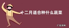 十二月适合种什么蔬菜