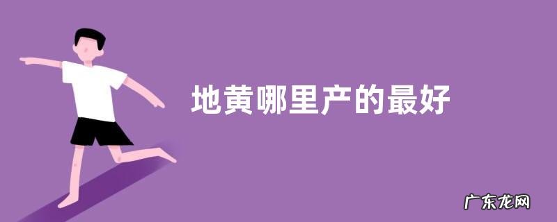 地黄哪里产的最好