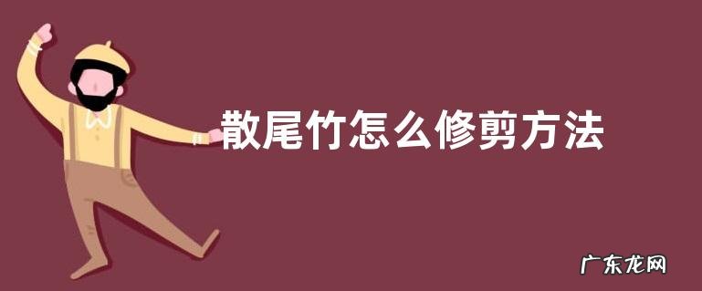 散尾竹怎么修剪方法