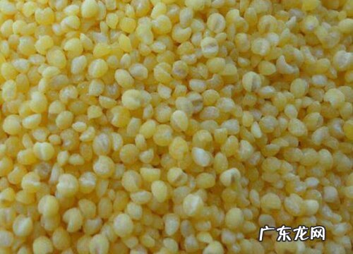 糯小米哪里产的最好