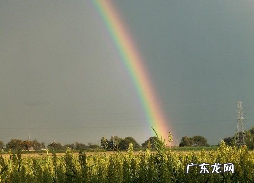 东北盛产什么农作物