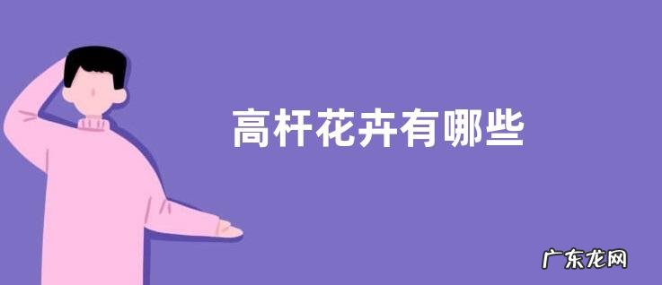 高杆花卉有哪些