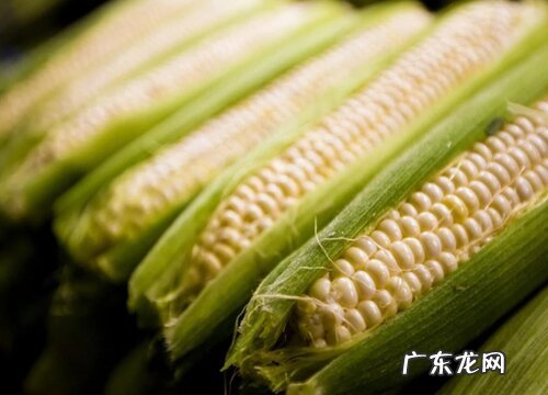 贵州盛产什么农作物