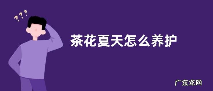 茶花夏天怎么养护