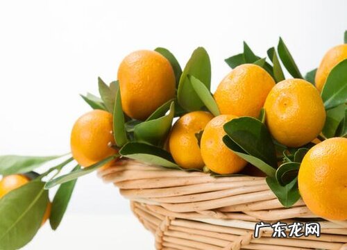 桔子耐多少度低温