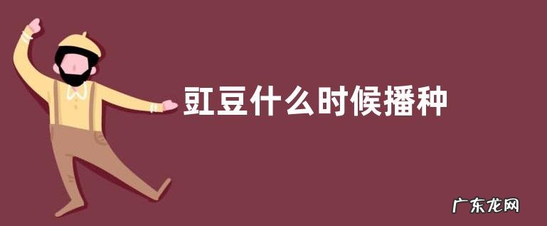 豇豆什么时候播种