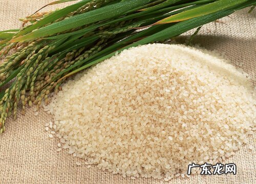 山西盛产什么农作物