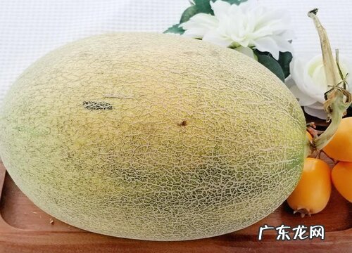 哈密瓜怎么挑选好吃的