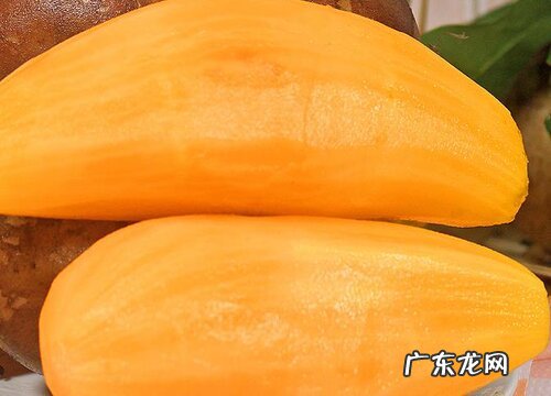 雪莲果是果实吗