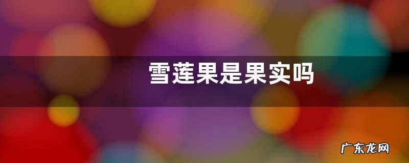 雪莲果是果实吗