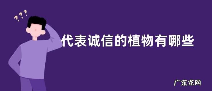 代表诚信的植物有哪些