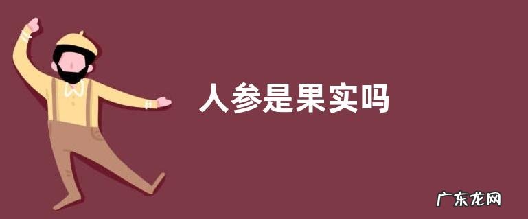 人参是果实吗