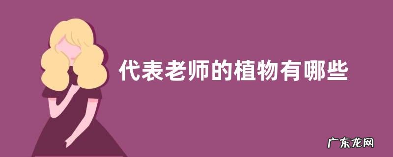 代表老师的植物有哪些
