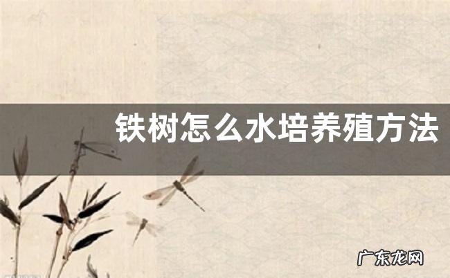 铁树怎么水培养殖方法