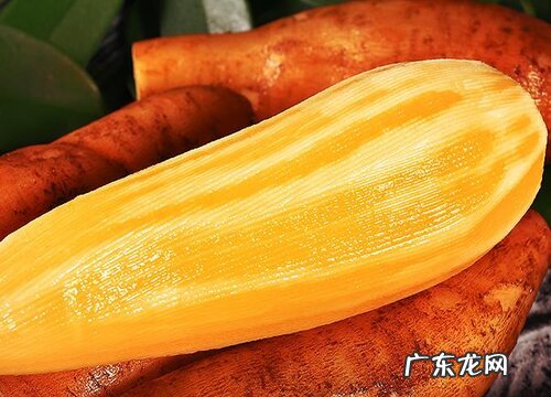 雪莲果又叫什么名字