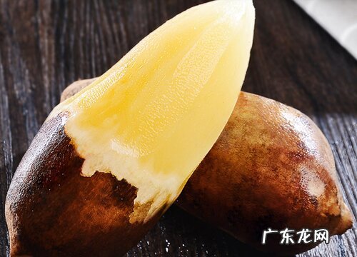 雪莲果又叫什么名字