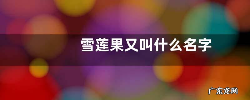 雪莲果又叫什么名字