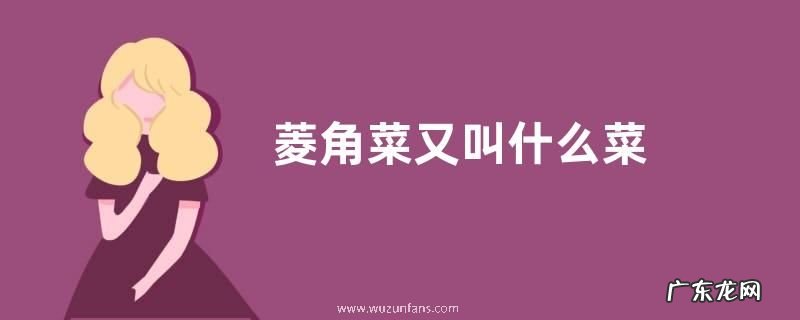 菱角菜又叫什么菜