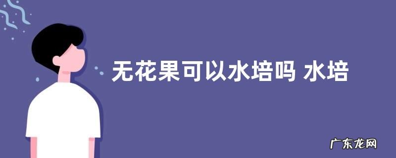 无花果可以水培吗 水培方法